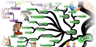 10 Best Mind Mapping Software