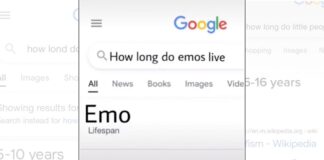 How Long do Emos Live?