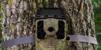 Stealth Cam Troubleshooting