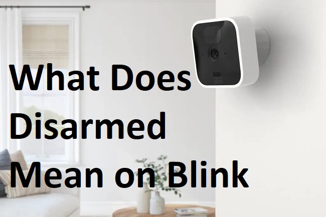 What Does Disarmed Mean on Blink