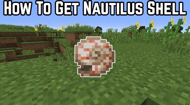 Nautilus Shell Minecraft